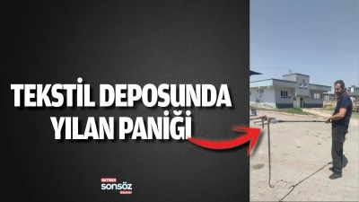 Tekstil deposunda yılan paniği