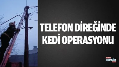 Telefon direğinde kedi operasyonu