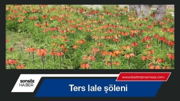 Ters lale ş&ouml;leni