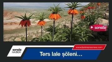 Ters lale ş&ouml;leni&hellip;