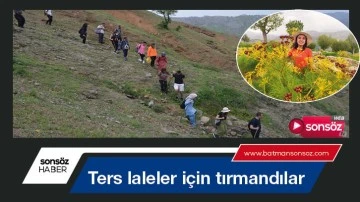 Ters laleler i&ccedil;in tırmandılar