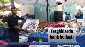 Tezg&acirc;hlarda balık bollaştı