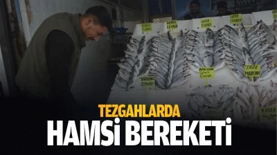 Tezgahlarda hamsi bereketi&hellip;