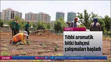 Tıbbi aromatik bitki bah&ccedil;esi &ccedil;alışmaları başladı &nbsp;