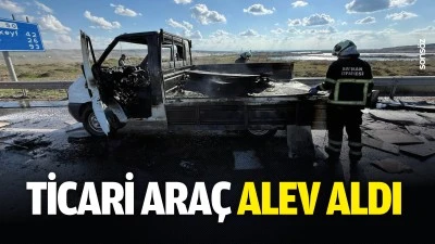 Ticari ara&ccedil; alev aldı