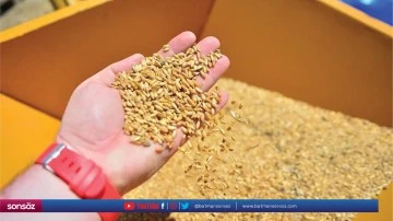 TİGEM'den buğday satış ihalesi yapılacak