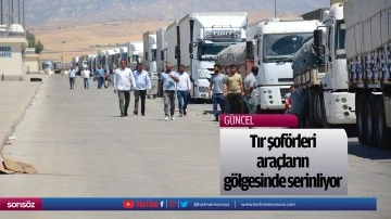 Tır şof&ouml;rleri ara&ccedil;ların g&ouml;lgesinde serinliyor