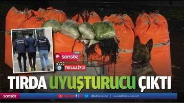 Tırda uyuşturucu &ccedil;ıktı