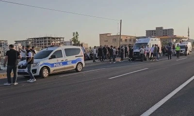 Tırın &ccedil;arptığı yaya hayatını kaybetti
