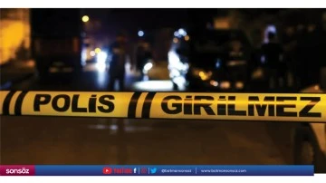 Tırın &ccedil;arptığı yaya yaşamını yitirdi