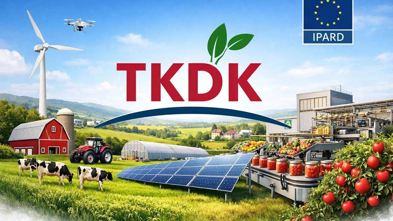 TKDK&rsquo;dan 2026 &ccedil;ağrı takvimi