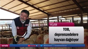 TOB, depremzedelere hayvan dağıtıyor