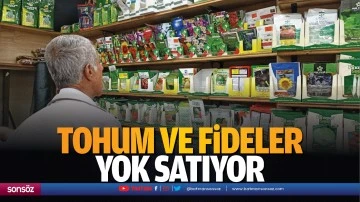 Tohum ve fideler yok satıyor
