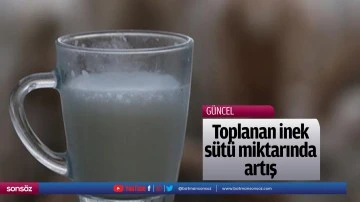 Toplanan inek s&uuml;t&uuml; miktarında artış