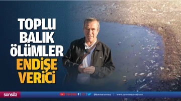 &ldquo;Toplu balık &ouml;l&uuml;mler endişe verici&rdquo;