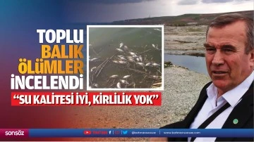 Toplu balık &ouml;l&uuml;mler incelendi; &ldquo;Su kalitesi iyi, kirlilik yok&rdquo;