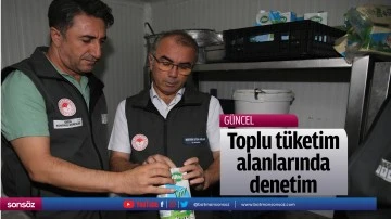 Toplu t&uuml;ketim alanlarında denetim