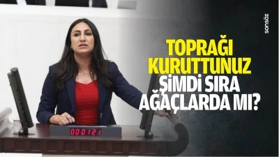Toprağı kuruttunuz, şimdi sıra ağa&ccedil;larda mı?