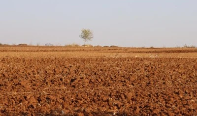 Toprak ile su kaybı, gıdayı ve geleceği doğrudan tehdit ediyor