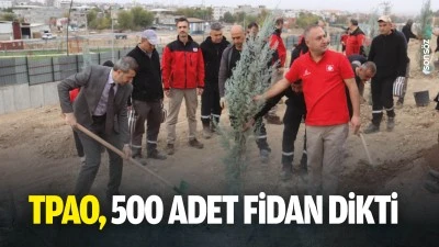 TPAO, 500 adet fidan dikti