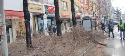 Trafiği engelleyen ağa&ccedil; dalları bulanıyor