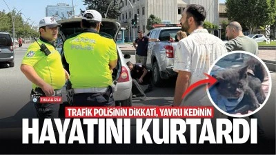 Trafik polisinin dikkati, yavru kedinin hayatını kurtardı