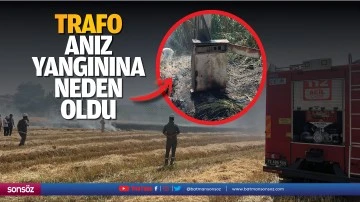 Trafo, anız yangınına neden oldu