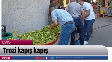 Trozi kapış kapış