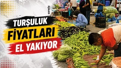 Turşuluk fiyatları el yakıyor