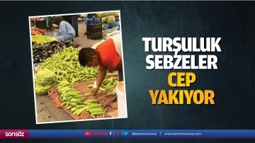 Turşuluk sebzeler cep yakıyor