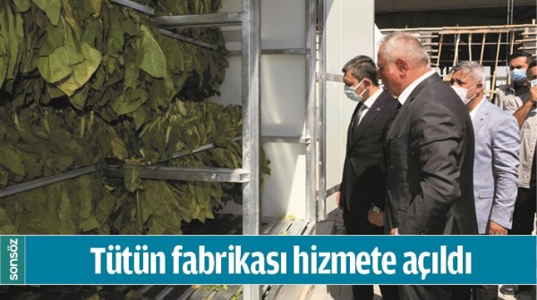 T&Uuml;T&Uuml;N FABRİKASI HİZMETE A&Ccedil;ILDI