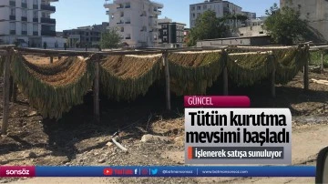 T&uuml;t&uuml;n kurutma mevsimi başladı