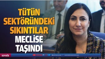 T&uuml;t&uuml;n sekt&ouml;r&uuml;ndeki sıkıntılar meclise taşındı