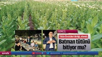 T&uuml;t&uuml;n &Uuml;reticileri Birliği, sitemli; Batman t&uuml;t&uuml;n&uuml; bitiyor mu?