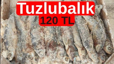 Tuzlu balık 120 TL