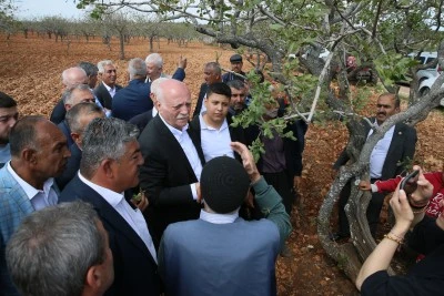 TZOB Genel Başkanı Bayraktar, Gaziantep'te zirai dondan etkilenen meyve bah&ccedil;elerini inceledi