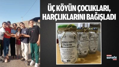 &Uuml;&ccedil; k&ouml;y&uuml;n &ccedil;ocukları, har&ccedil;lıklarını bağışladı