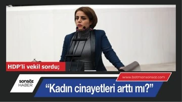  &ldquo;KADIN CİNAYETLERİ ARTTI MI?&rdquo;