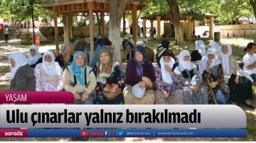 Ulu &ccedil;ınarlar yalnız bırakılmadı