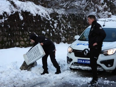Uludere'de sokak hayvanları i&ccedil;in yiyecek bırakıldı
