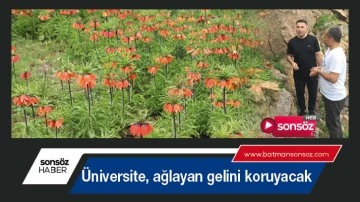 &Uuml;niversite, ağlayan gelini koruyacak