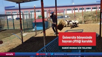 &Uuml;niversite b&uuml;nyesinde hayvan &ccedil;iftliği kuruldu