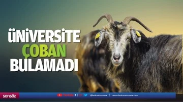 &Uuml;niversite &ccedil;oban bulamadı