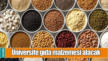 &Uuml;NİVERSİTE GIDA MALZEMESİ ALACAK 