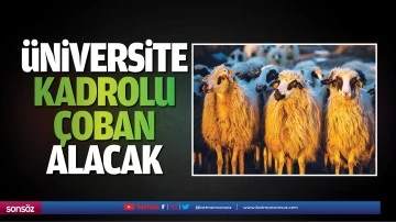 &Uuml;niversite kadrolu &ccedil;oban alacak