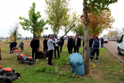 &Uuml;niversite &ouml;ğrencileri sahada budama tekniklerini uygulamalı &ouml;ğrendi