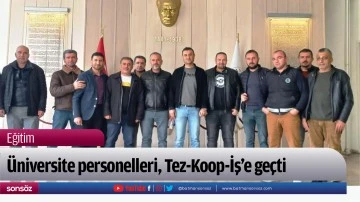 &Uuml;niversite personelleri, Tez-Koop-İş&rsquo;e ge&ccedil;ti