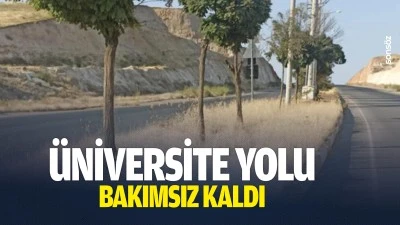 &Uuml;niversite yolu bakımsız kaldı