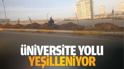 &Uuml;niversite yolu yeşilleniyor