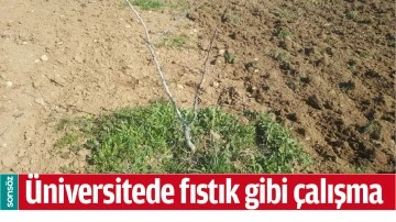 &Uuml;NİVERSİTEDE FISTIK GİBİ &Ccedil;ALIŞMA&hellip;
